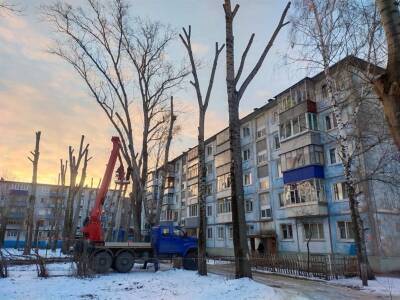 Зоя Космодемьянская - 33 аварийных дерева спилили в Ульяновске - ulpravda.ru - Ульяновск - район Железнодорожный