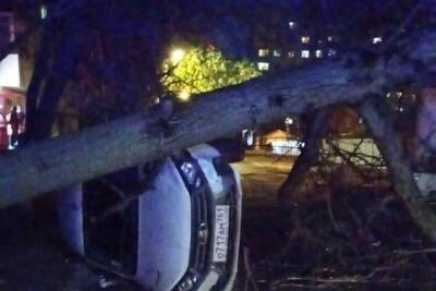 В Ростове автомобиль перевернулся из-за упавшего дерева