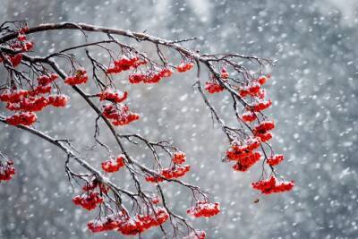 Дождь и мокрый снег ожидаются в Беларуси 28 ноября