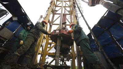 Новак рассказал об обеспеченности России нефтью и газом