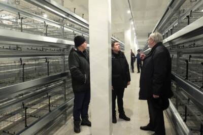 Министр сельского хозяйства Коми Денис Шаронов оценил реконструкцию «Зеленецкой» птицефабрики