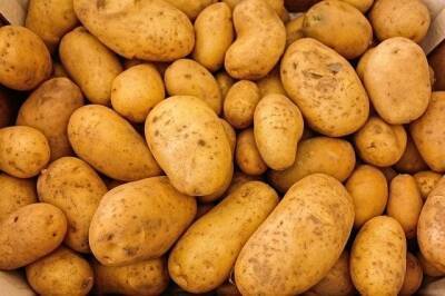 На ярмарках выходного дня рязанцы купили 9 тонн картофеля