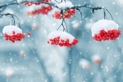 1 декабря в Тверскую область придет зима