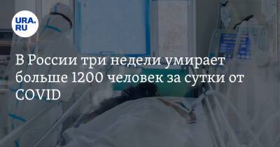 В России три недели умирает больше 1200 человек за сутки от COVID