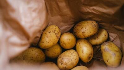 Эксперт Роскачества предупредила о вреде старого картофеля