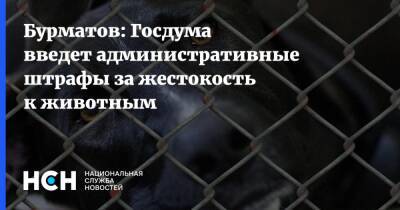 Бурматов: Госдума введет административные штрафы за жестокость к животным