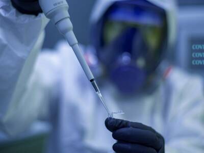 Южноафриканский «омикрон» — что известно о новом штамме коронавируса