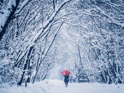 Зима в Новосибирской области начнется с существенного потепления