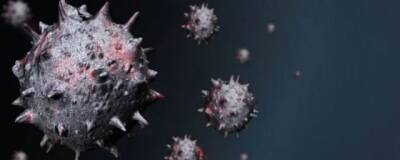 Иммунолог Болибок рассказал россиянам, чем опасен омикрон-штамм коронавируса
