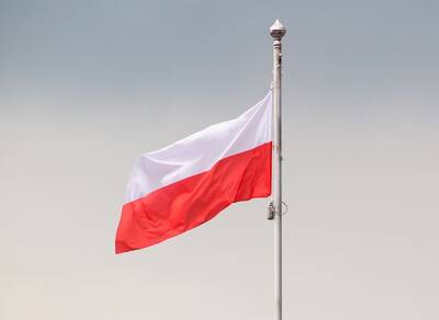 Вольфович усомнился в нападении Польши и прибалтийских стран на Беларусь