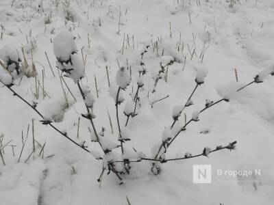 Дождь, снег и похолодание в четверг ожидаются в Нижегородской области на этой неделе