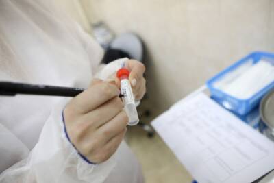В РФ за сутки выявлено 33 860 новых случаев коронавируса