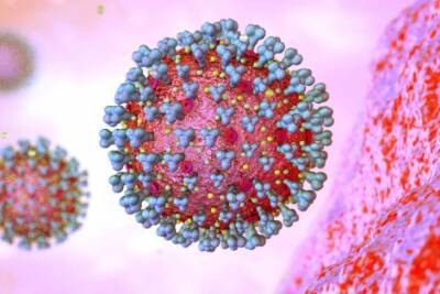 Опаснее ли штамм коронавируса "Омикрон" "Дельты": в ВОЗ пока не дают четкого ответа
