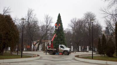 В Верхнем городском парке установили новогоднюю ель