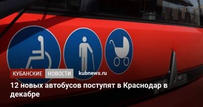 12 новых автобусов поступят в Краснодар в декабре