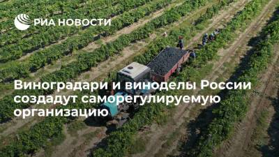 Виноградари и виноделы России решили создать федеральную саморегулируемую организацию