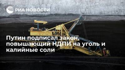 Президент Путин подписал закон, повышающий НДПИ на железную руду, уголь и калийные соли