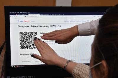 Власти России обсуждают переименование документа с QR-кодами
