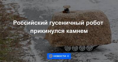 Российский гусеничный робот прикинулся камнем