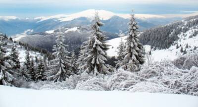 В Карпаты пришла настоящая зима: горы засыпало густым снегом (ФОТО)