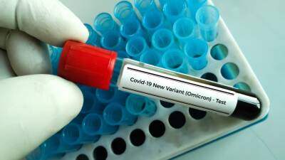 «Омикрон». Почему у переболевших COVID-19 выше риск заразиться новым штаммом?