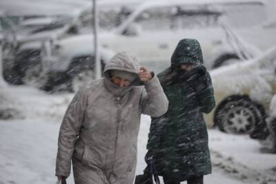 Сильный снег и ветер придут в Петербург во вторник