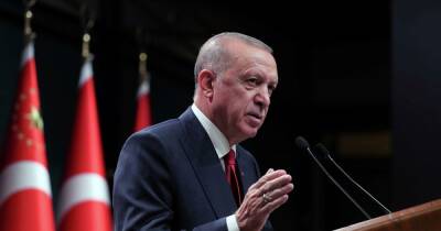 Турция готова стать посредником в переговорах России и Украины по Донбассу, — Эрдоган