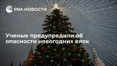 ВНИИ ГОЧС: новогодние елки могут падать на людей из-за ветра, а декорации — загораться