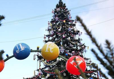 Россиян предупредили об угрозах от новогодних елок