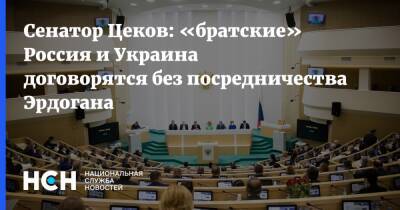 Сенатор Цеков: «братские» Россия и Украина договорятся без посредничества Эрдогана