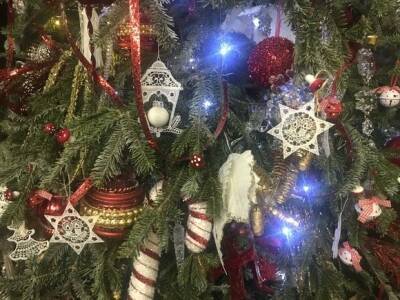 Граждан России предупредили об опасности новогодних елок