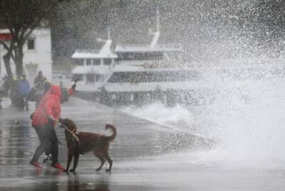 Обрушившийся на Стамбул ураган, унес жизни двух человек: пользователи публикуют ужасные кадры