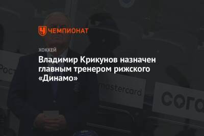 Владимир Крикунов назначен главным тренером рижского «Динамо»