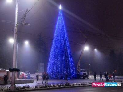 Самую большую и высокую новогоднюю ель в Ростовской области установят в Новочеркасске