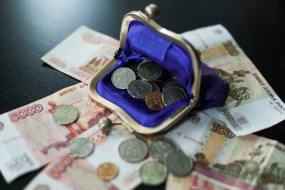Новые налоги и инфляция сократят доходы петербуржцев