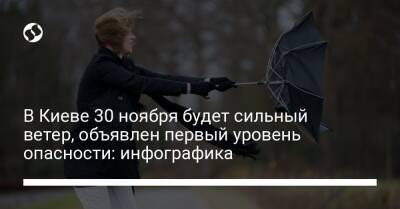 В Киеве 30 ноября будет сильный ветер, объявлен первый уровень опасности: инфографика