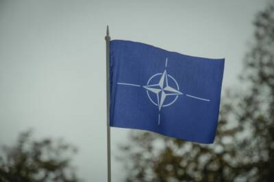 РФ тревожит нагнетаемая НАТО ситуация в Черном море - Грушко