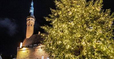 ФОТО. На Ратушной площади Таллина заработал рождественский рынок и зажглась новогодняя елка