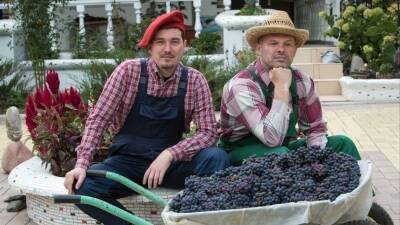 Виноградари и виноделы России учредили федеральную саморегулируемую организацию
