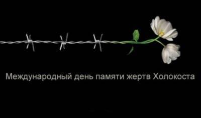 Правозащитники требуют от Минпросвета вернуть День памяти Холокоста в учебники