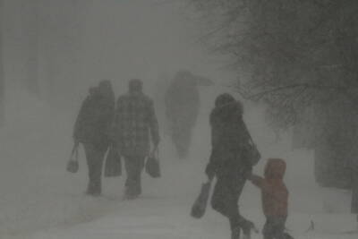 96 бригад энергетиков устраняют в Псковской области последствия снегопада