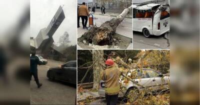 Туреччину атакував потужний ураган: загинули чотири людини, вітер зриває дахи з будинків та перевертає машини (відео)