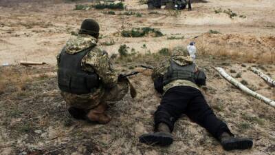 Бойцы ВСУ обстреляли из минометов населенный пункт Николаевка в ЛНР