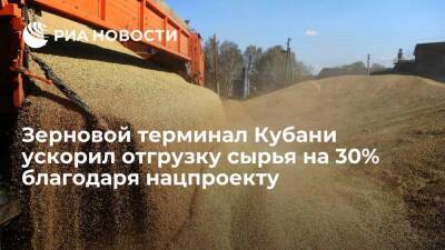 Зерновой терминал Кубани ускорил отгрузку сырья на 30% благодаря нацпроекту