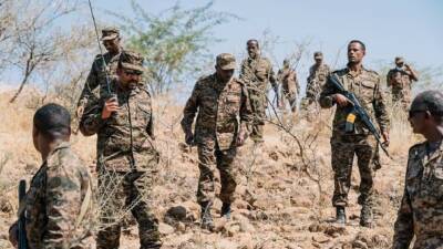 Армия Эфиопии начала новое наступление на силы повстанцев