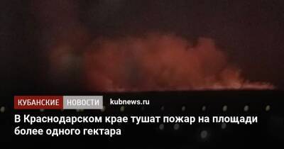 В Краснодарском крае тушат пожар на площади более одного гектара