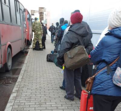 Жители Кингисеппа занимают очередь на автобус до Петербурга через соцсети
