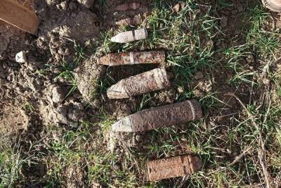 10 боеприпасов нашли при распашке виноградника в Севастополе