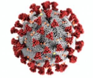 Чем опасен штамм коронавируса AY.4.2 («дельта-плюс»)?