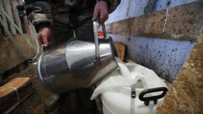 Санкционированный пакет: в Минсельхозе допустили подорожание молочки